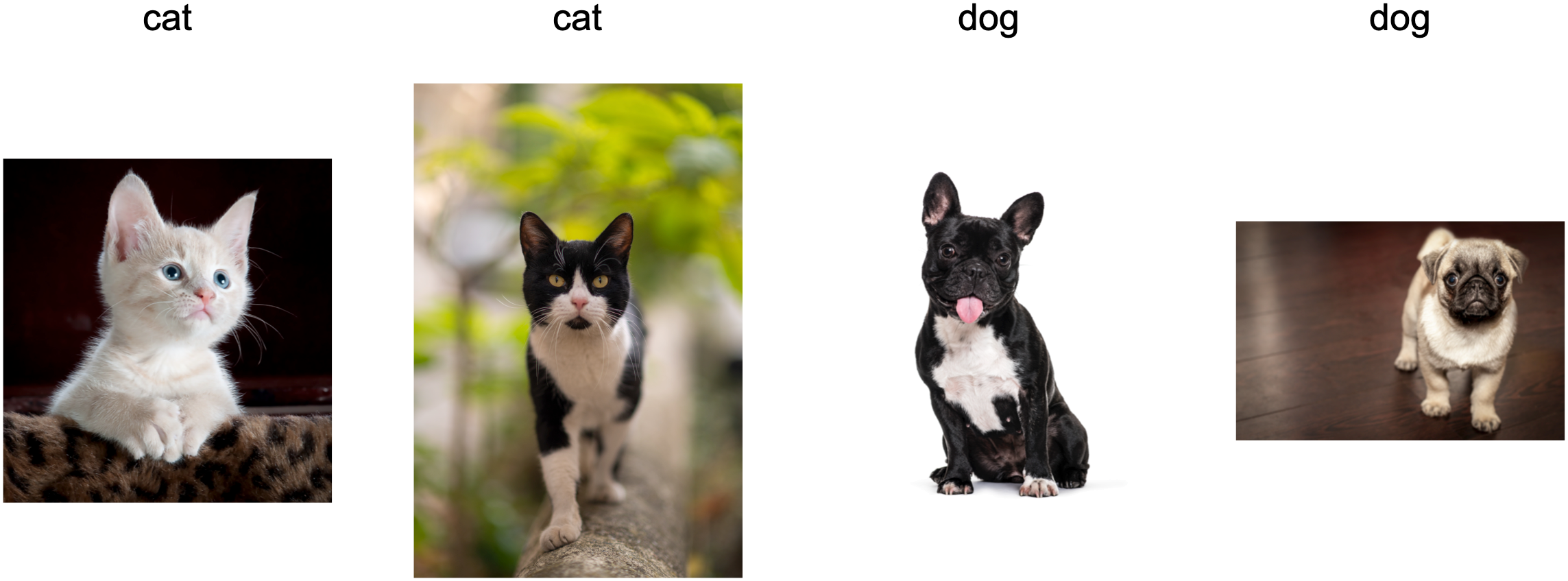 ../_images/cat-dog-train.png